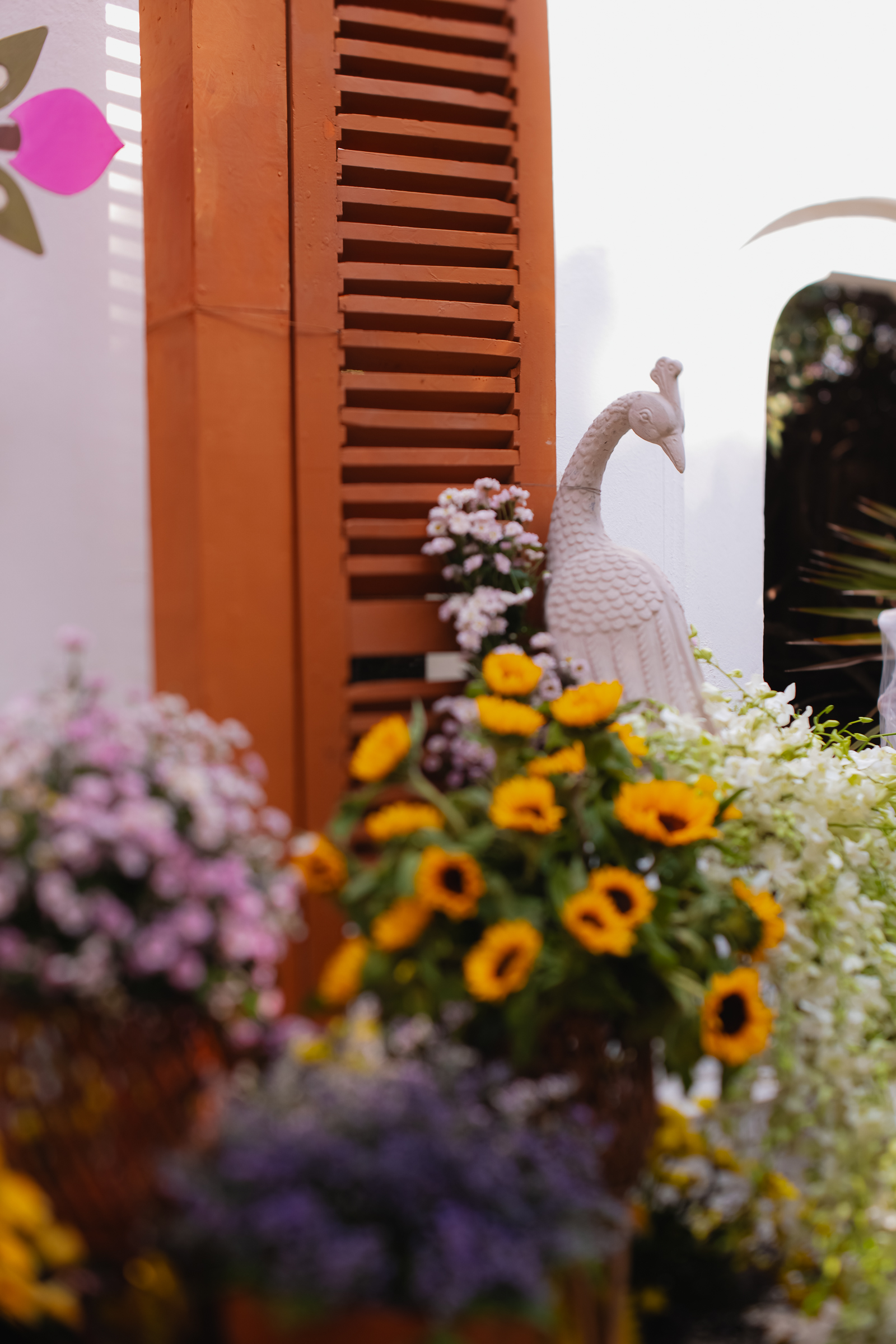 Image from Akhila Anand